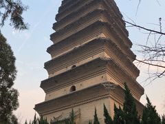 -德发长·花式蒸饺(大唐不夜城店)