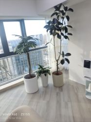 -HEYAN荷妍专业脱毛连锁机构