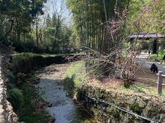-黄公望隐居地