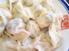 韭菜鸡蛋虾仁饺子-新兴园饺子馆(北京百子湾店)