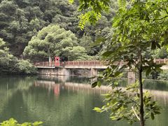 -宁海森林温泉