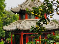 -莲池书院博物馆