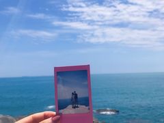 -广东惠东海龟国家级自然保护区
