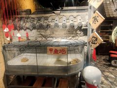 -破瓦寒窑·地摊烤羊排