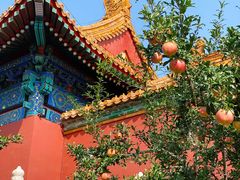 -故宫博物院(故宫)