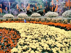 -云溪植物园
