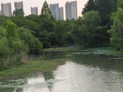 -昆山城市生态森林公园
