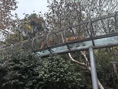 -宁波野生动物园