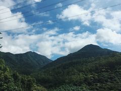 -清溪森林公园