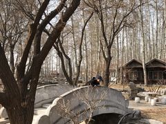 -尚庄度假村·庭台树下·户外烧烤·团建CS·轰趴营地(上庄水库店)