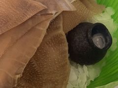 -九鼎轩脆毛肚火锅(徐州苏宁店)