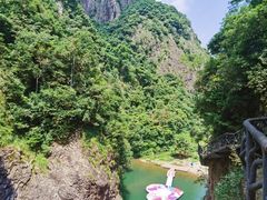 -龙湾潭国家森林公园