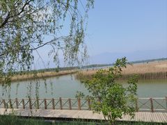 -野鸭湖国家湿地公园