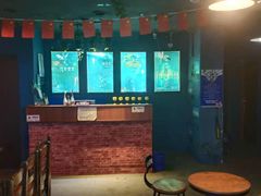 -S Team剧情密室(杭州龙翔桥店)