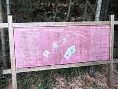 -塔川景区