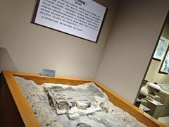 -洛阳周王城天子驾六博物馆