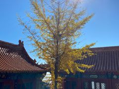 -天津盘山风景名胜区