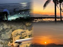 -三亚西岛海洋文化旅游区