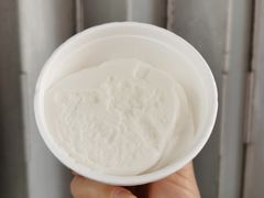 椰子雪糕-洪馨椰子