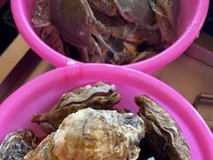 -港畔赶海蒸汽海鲜烧烤自助(仙螺岛店)