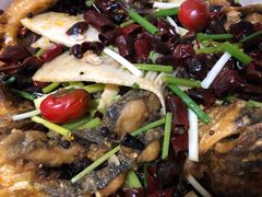 -老板恋上鱼(恒隆广场店)