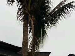 -亚马逊丛林水乐园