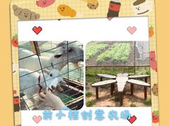 -前小桔亲子创意农场·草莓采摘·露营烧烤