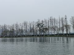 -洋湖国家湿地公园