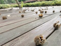 -万佛湖风景区