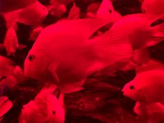 -多彩贵州城极地海洋世界