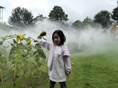 -云禾壹海景庄园餐厅