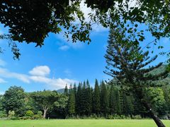 -深圳仙湖植物园