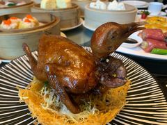 招牌妙龄乳鸽-海口万豪中餐厅·粤菜·海南菜· 平价海鲜·茶点· KTV包房