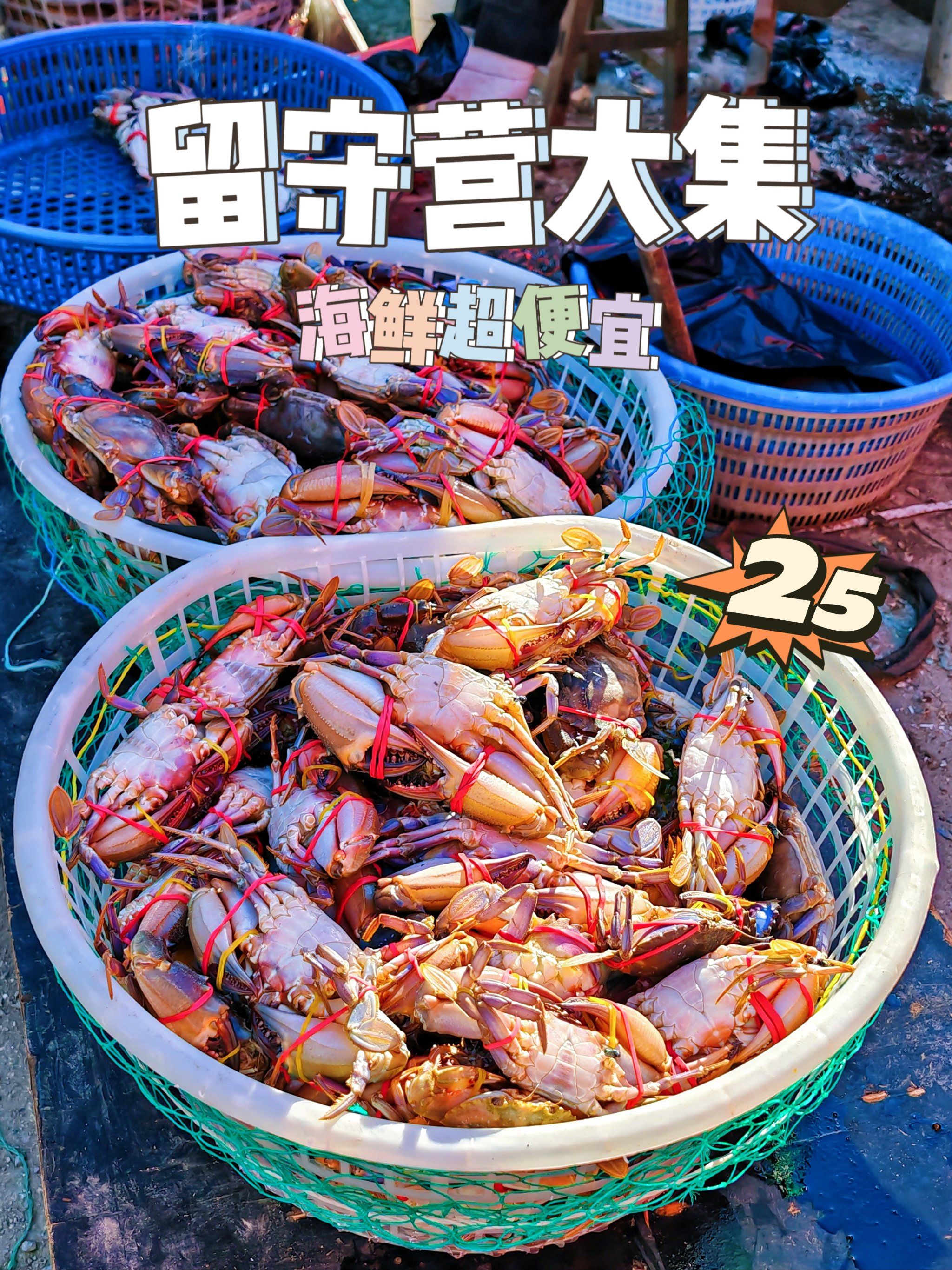 来秦皇岛体验逛大集