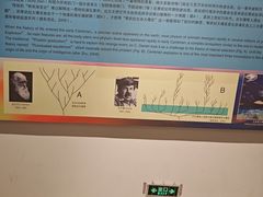 -辽宁古生物博物馆