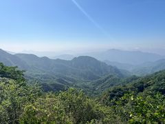 -大岭沟猕猴桃谷风景区