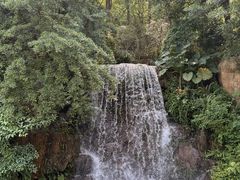 -广州市帽峰山景区