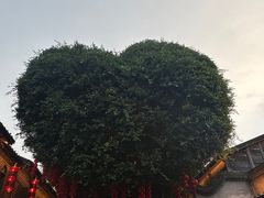-阿城海鲜捞化(上下杭店)