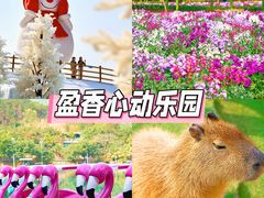 -盈香心动乐园