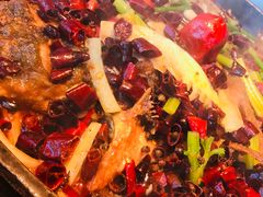 -老板恋上鱼(印象城店)