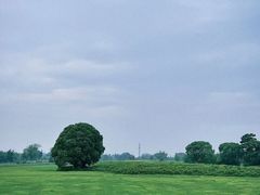 -良渚古城遗址公园