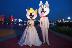 -保定巴黎婚纱摄影