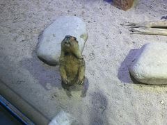 -常州海昌海洋探索馆