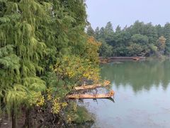 -东湖落雁景区