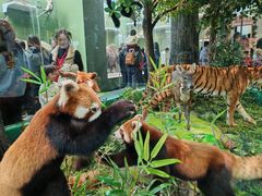 -国家自然博物馆