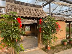 -上海都市菜园