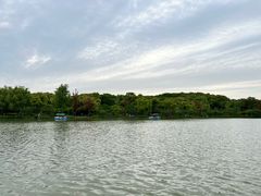 -昆山城市生态森林公园