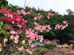 -广州雕塑公园