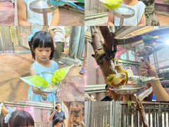 -正佳雨林生态植物园