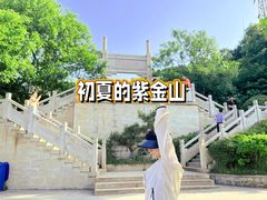 -紫金山山顶公园